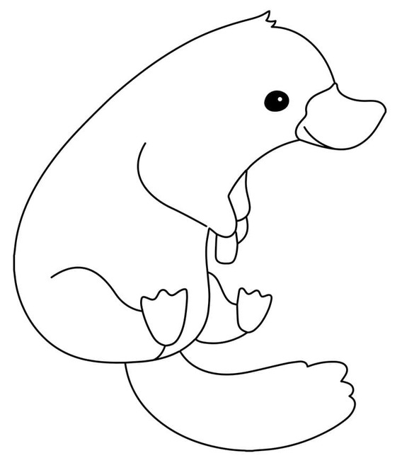 Dibujos de Ornitorrinco imprimible para colorear
