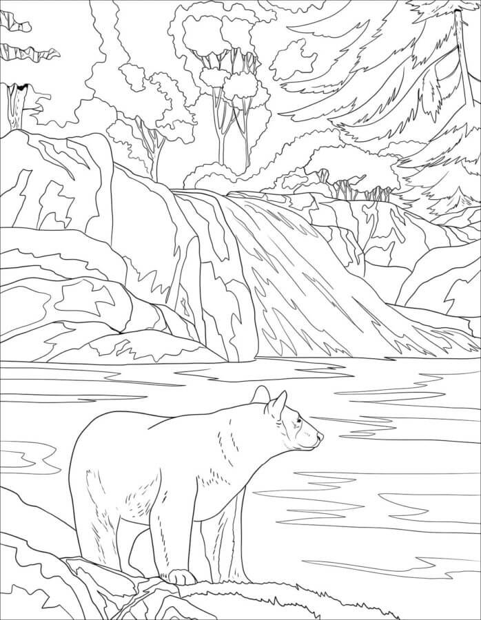 Dibujos de Oso pardo en el bosque para colorear