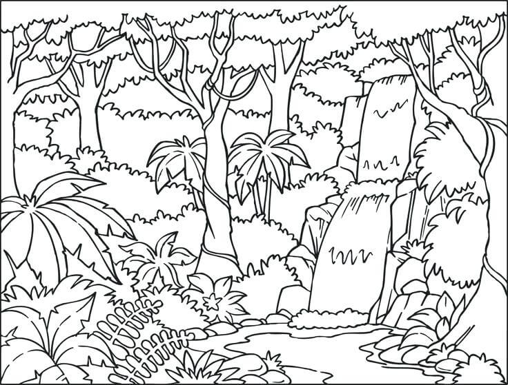 Dibujos de Paisaje del Bosque Lluvioso para colorear