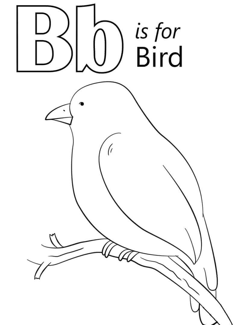Pájaro, Letra b para colorir