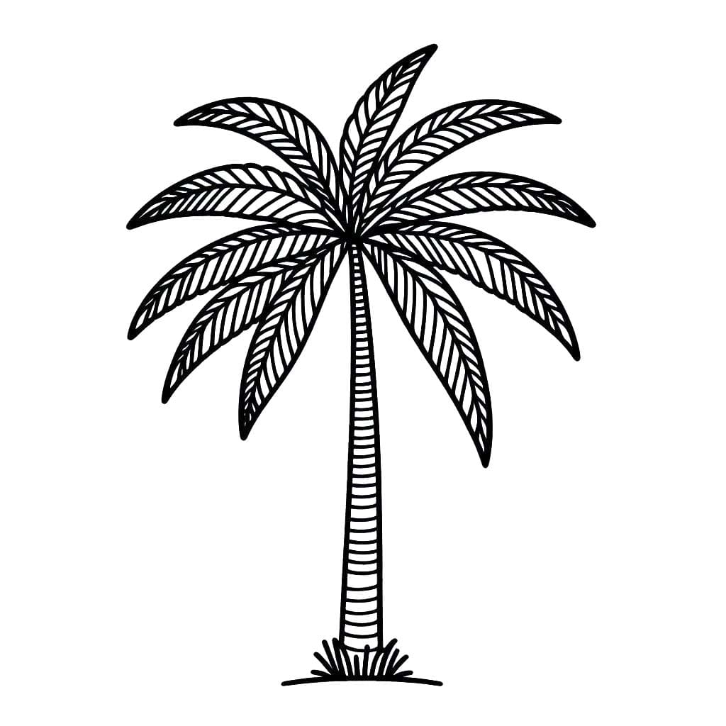Dibujos de Palmera 8 para colorear