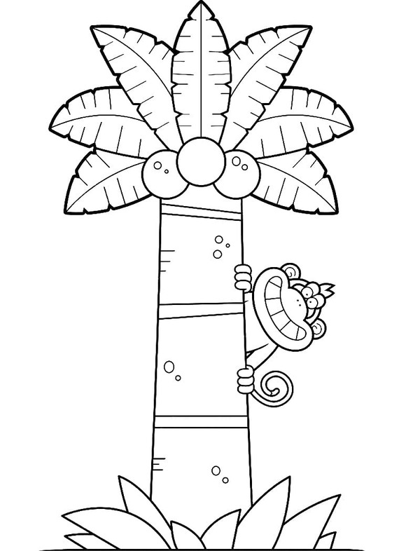 Dibujos de Palmera gratis para colorear
