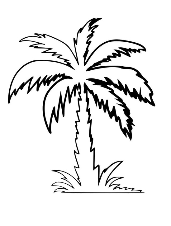 Dibujos de Palmera Gratis para niños para colorear