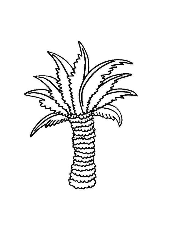 Dibujos de Palmera Imprimible para niños para colorear
