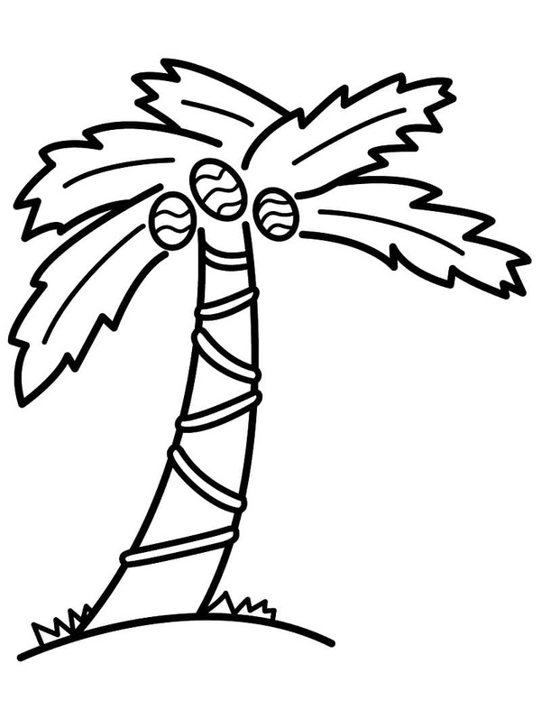 Dibujos de Palmera Muy básico para colorear