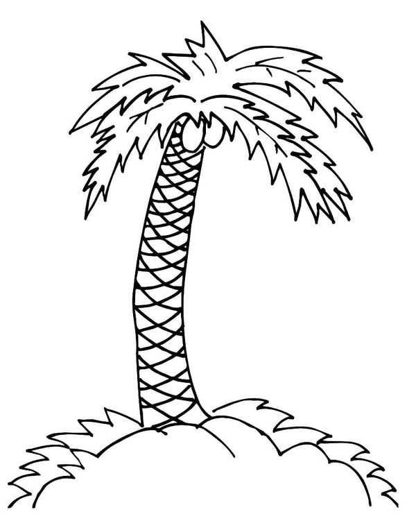 Dibujos de Palmera muy fácil para colorear