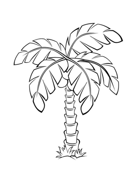 Dibujos de Palmera muy sencillo para colorear