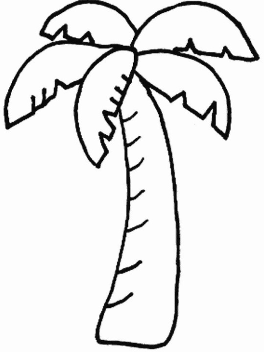 Dibujos de Palmera sencillo para colorear