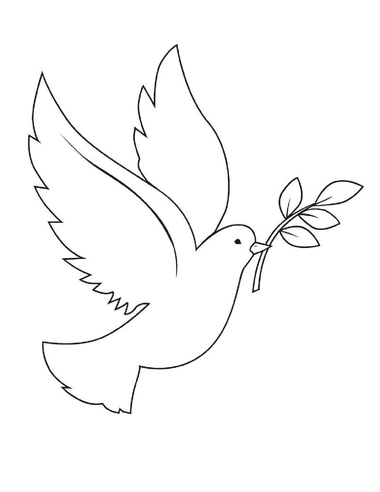 Paloma coloring pages