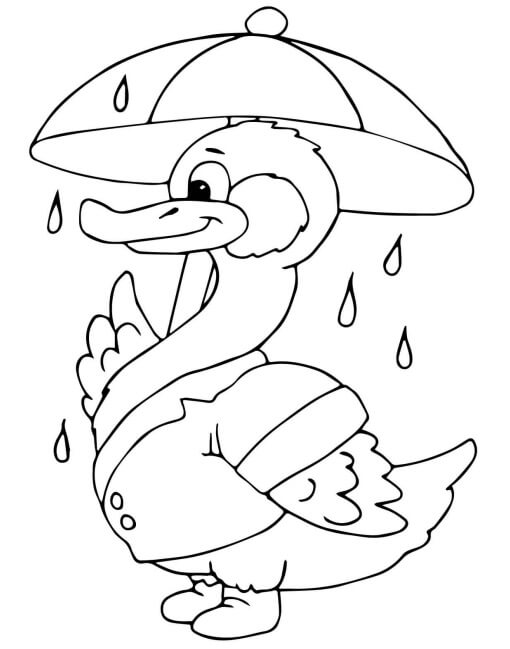 Dibujos de Pato Bajo la Lluvia para colorear