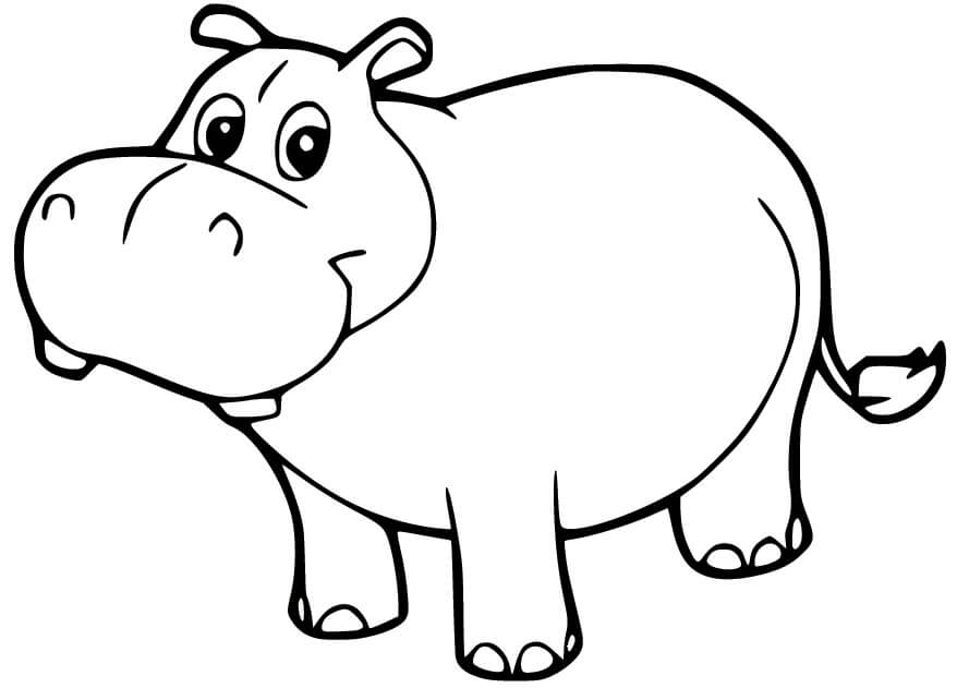 Dibujos de Pequeño Hipopótamo Lindo para colorear