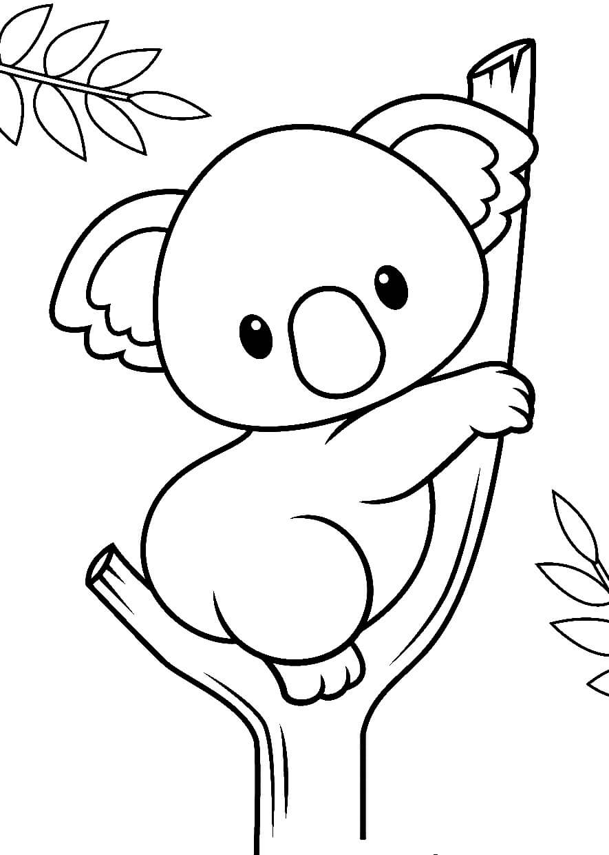 Dibujos de Pequeño Koala para colorear