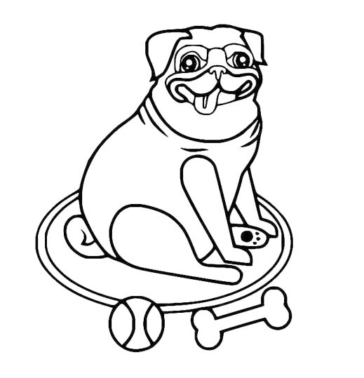 Perro Pug Divertido para colorir