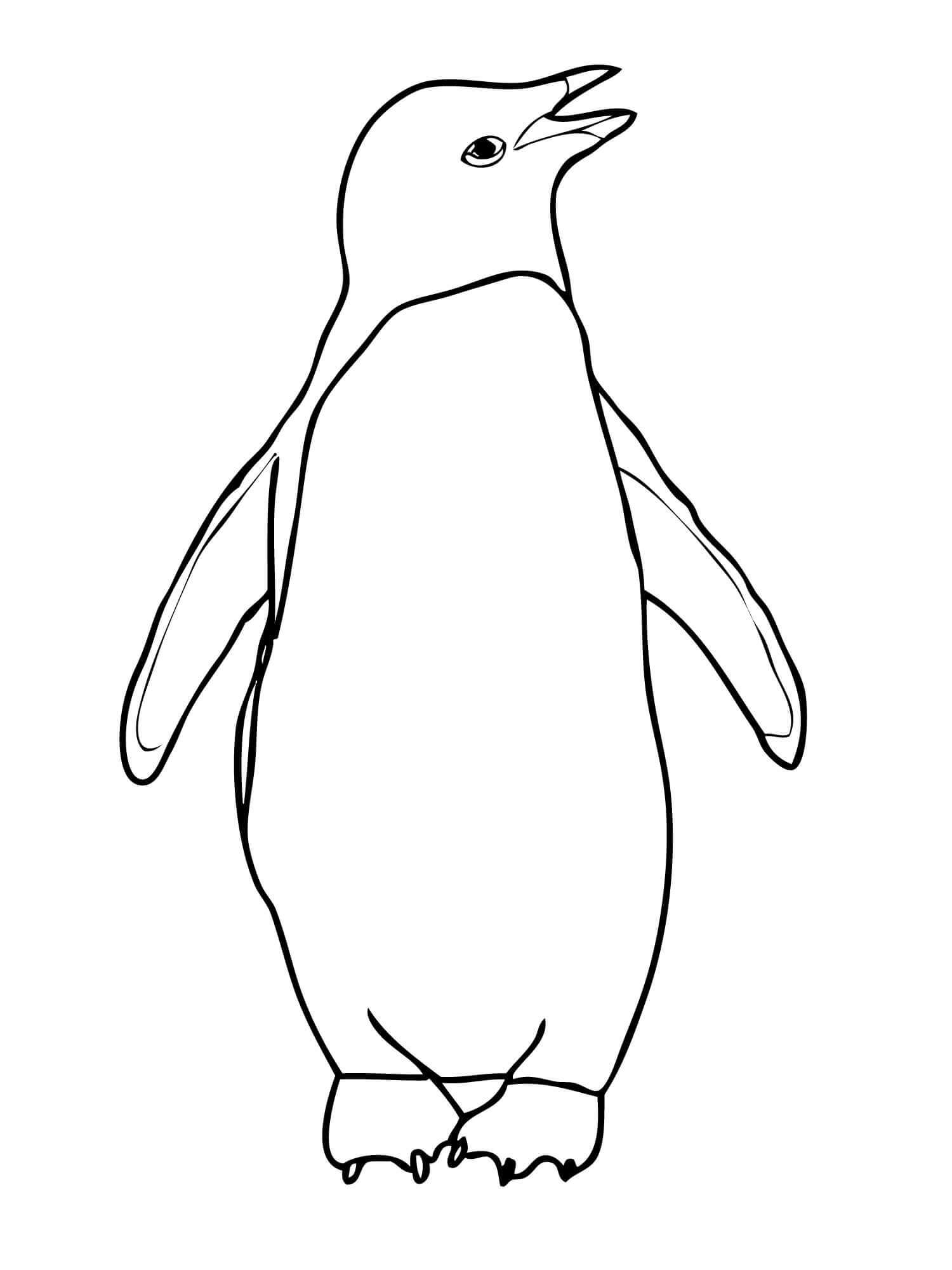 Pingüino Emperador para colorir