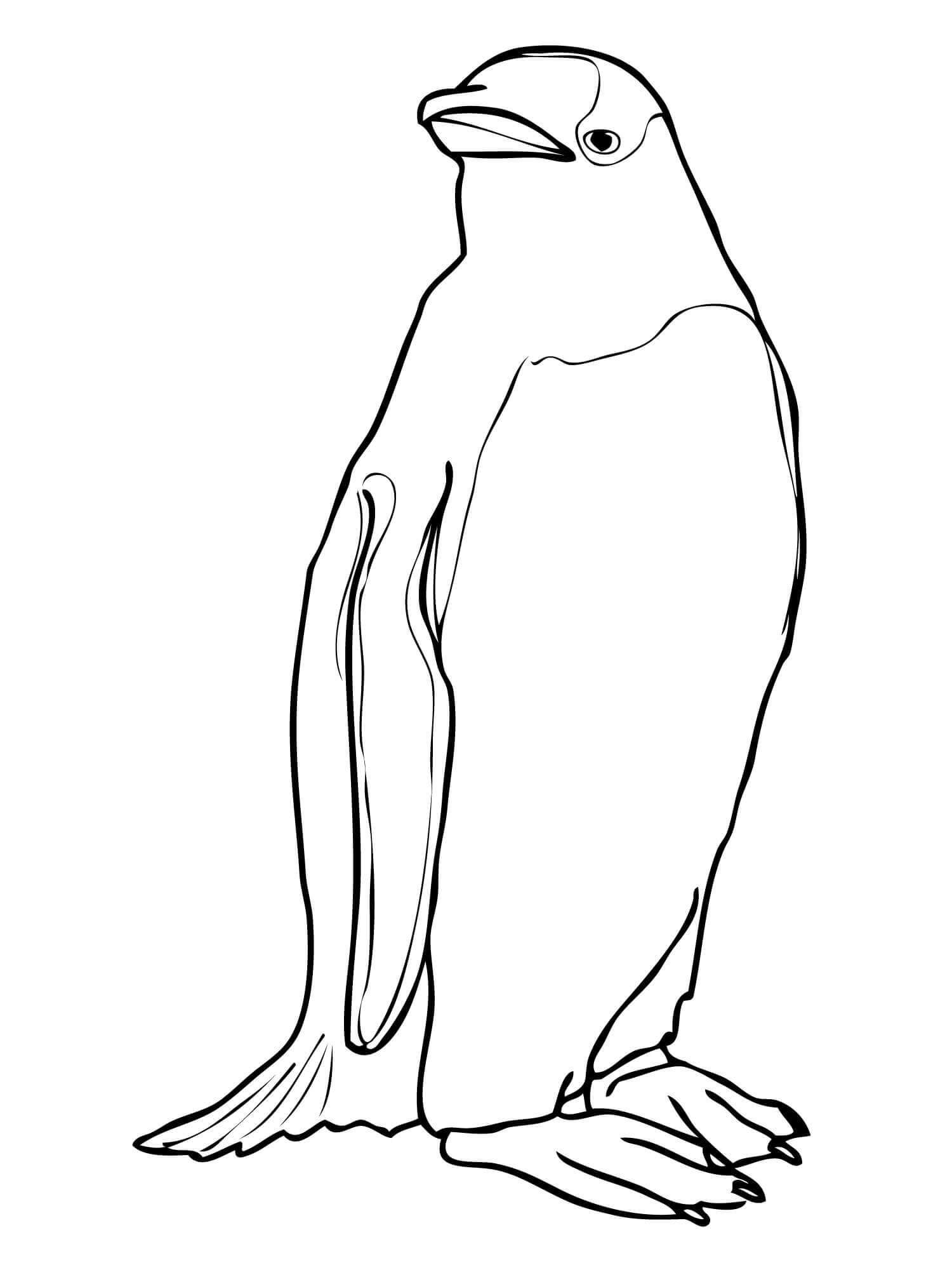 Dibujos de Pingüino Impresionante para colorear