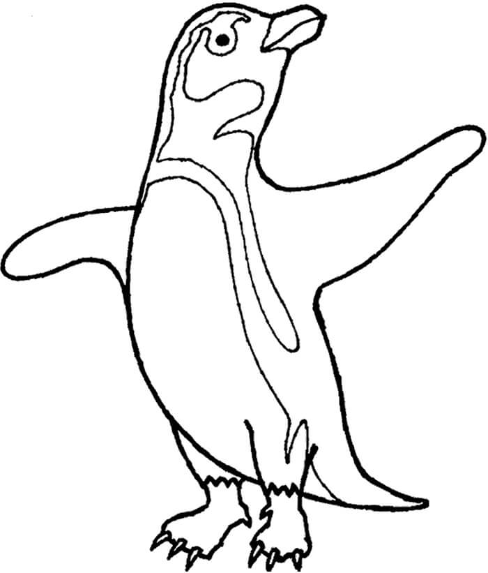 Dibujos de Pingüino Perfecto para colorear