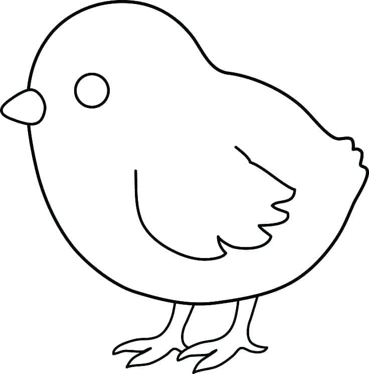Dibujos de Pollitos muy básica para colorear