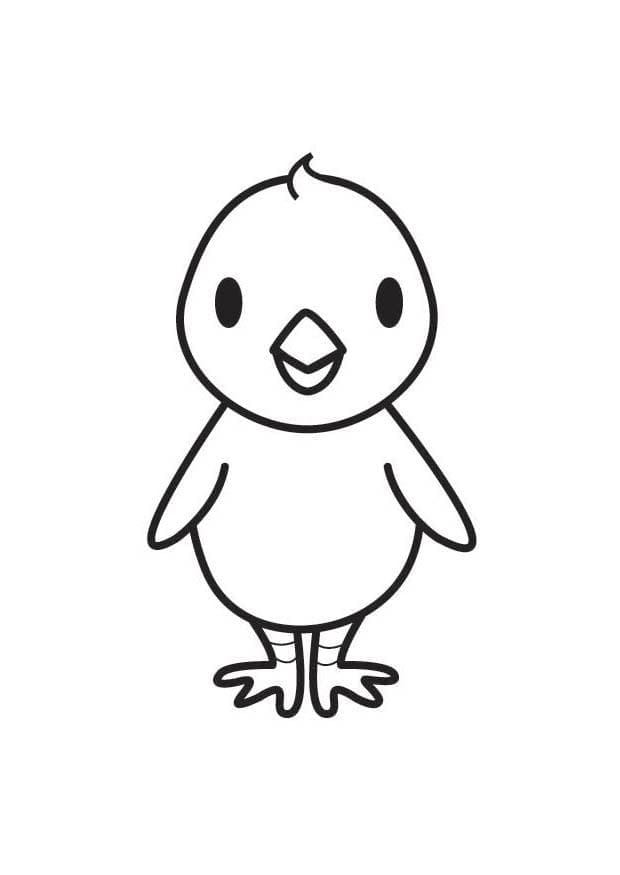 Dibujos de Pollitos muy lindos para colorear