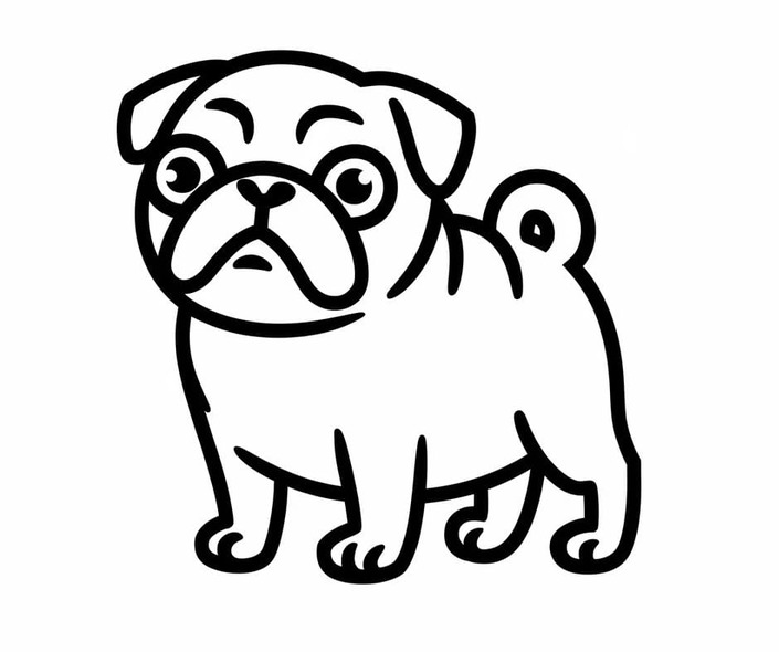 Dibujos de Pug divertido para colorear