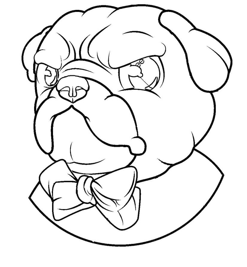 Dibujos de Pug enojado para colorear