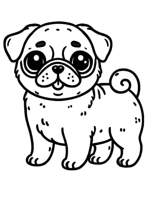 Pug gratis para colorir