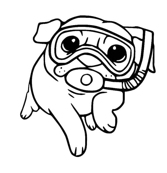 Pug muy divertido para colorir