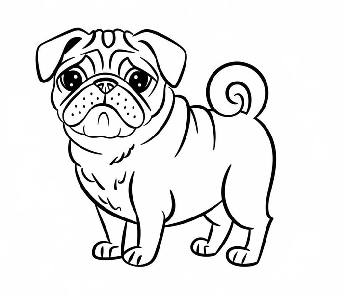 Dibujos de Pug para imprimir para colorear