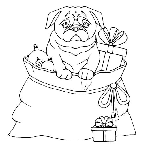 Pug y regalos para colorir