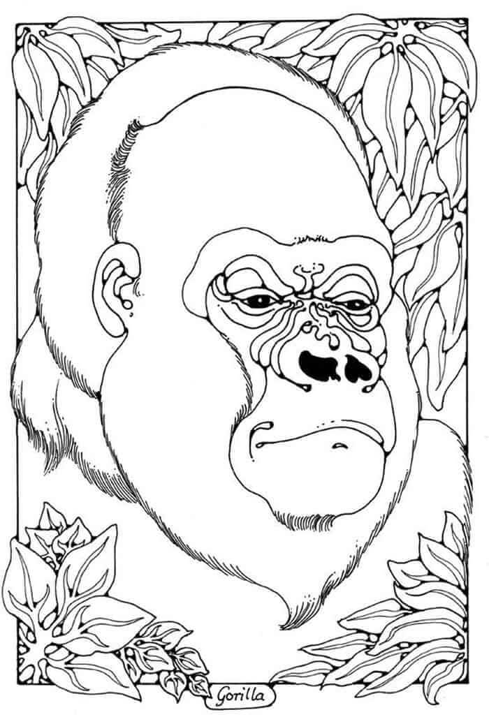 Dibujos de Retrato de Gorila es para Adultos para colorear