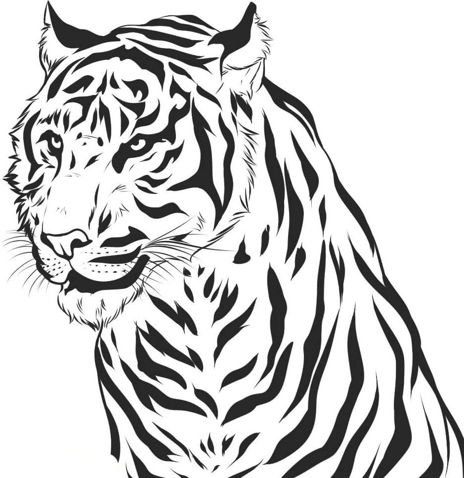 Dibujos de Retrato del Tigre para colorear