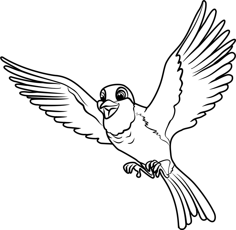 Dibujos de Robin Volando para colorear