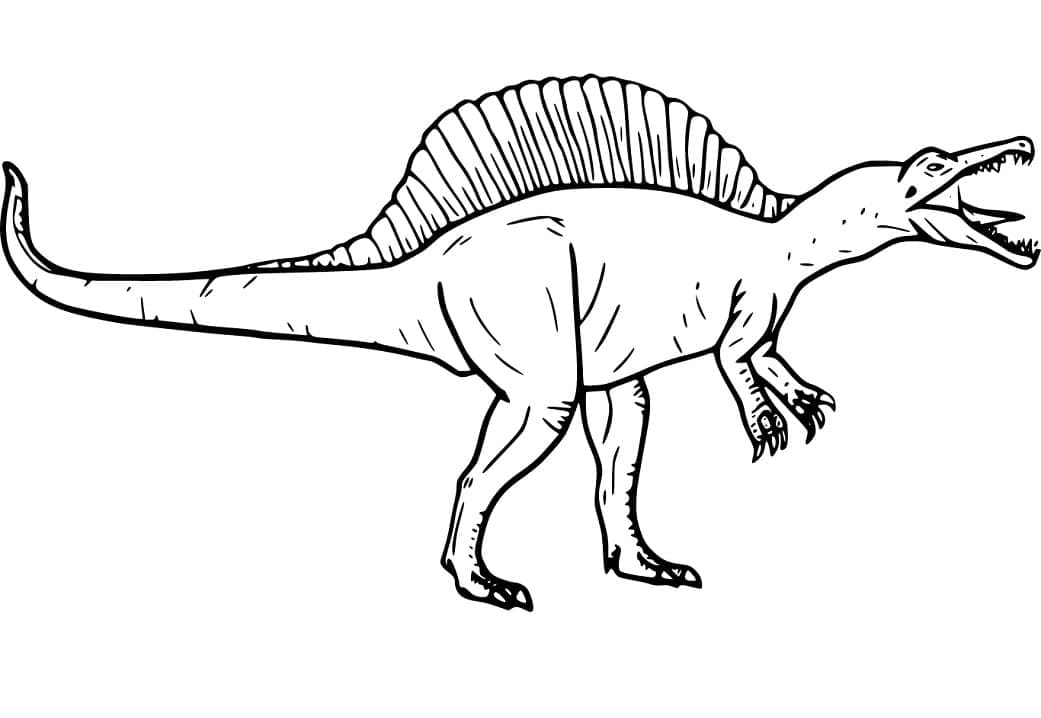 Dibujos de Spinosaurus enojado para colorear