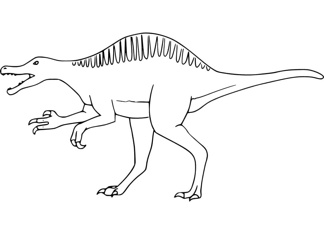 Spinosaurus gratis para colorir