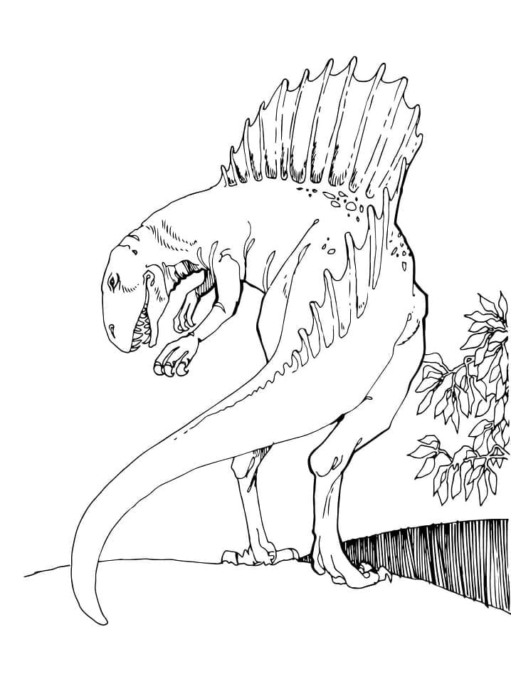 Spinosaurus libre para colorir