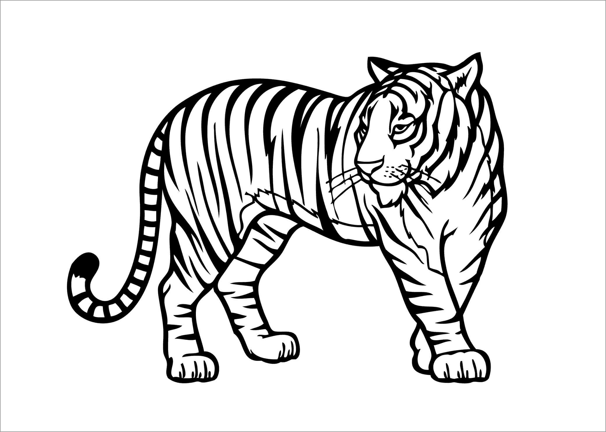 Dibujos de Tigre Básico para colorear