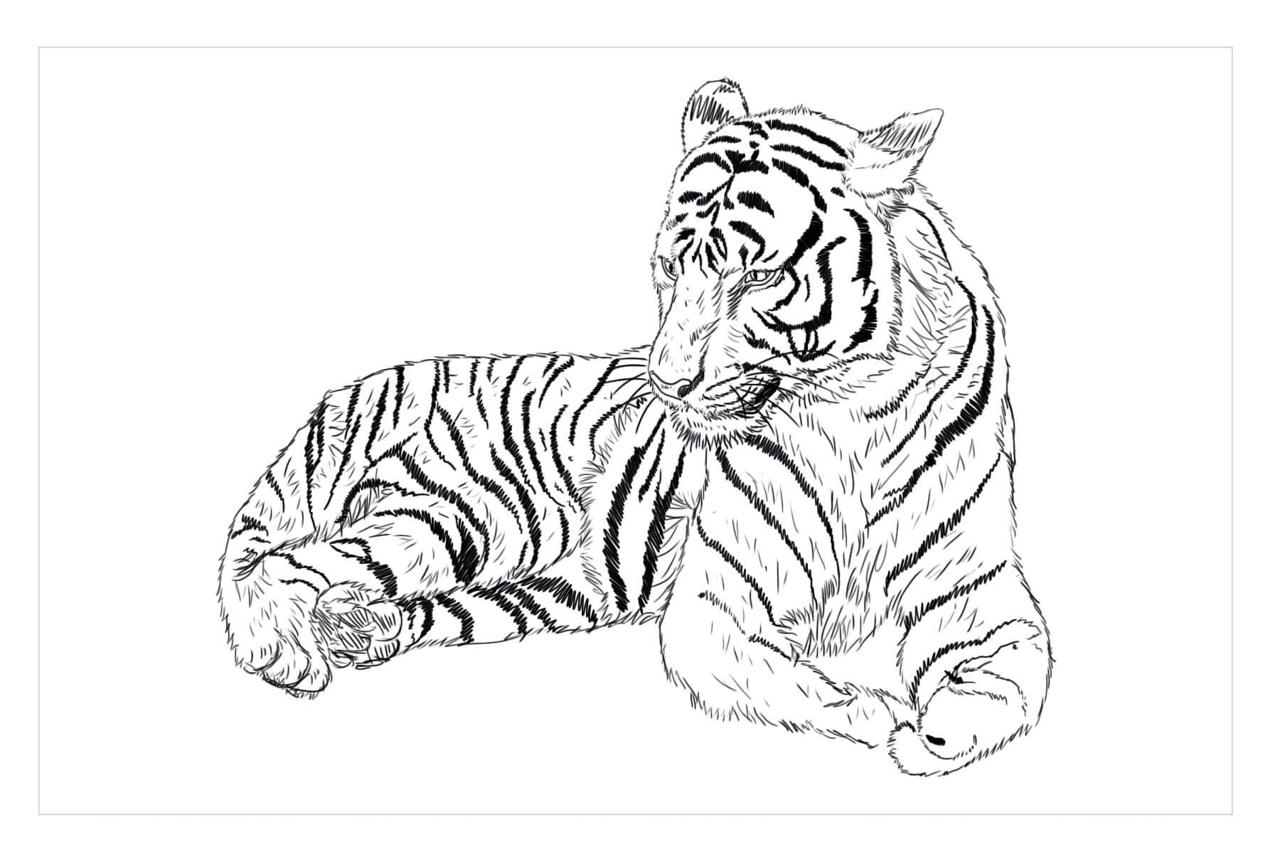 Tigre del Sur de China para colorir