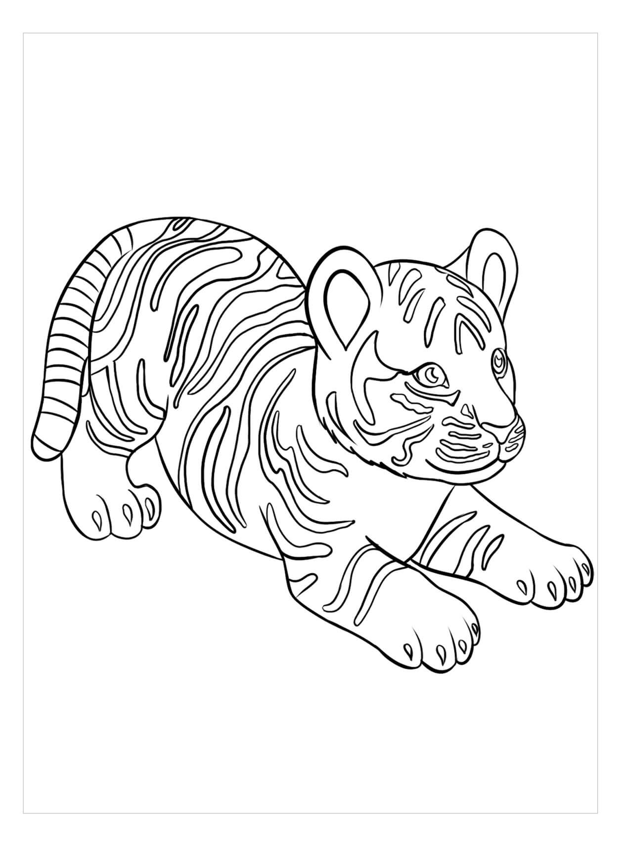 Dibujos de Tigre Perfecto para colorear