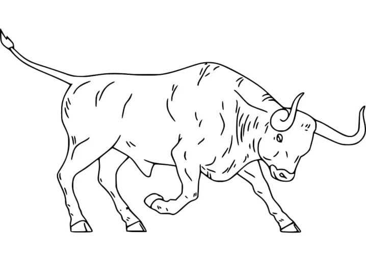 Dibujos de Toro - Página 3 para colorear