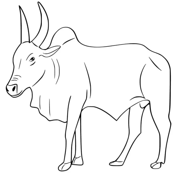 Dibujos de Toro - Página 9 para colorear