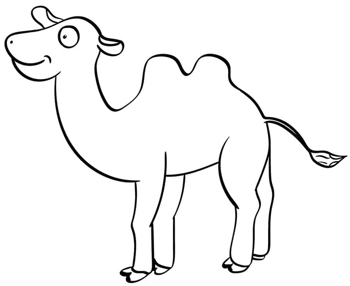 Dibujos de Un camellos divertido para colorear