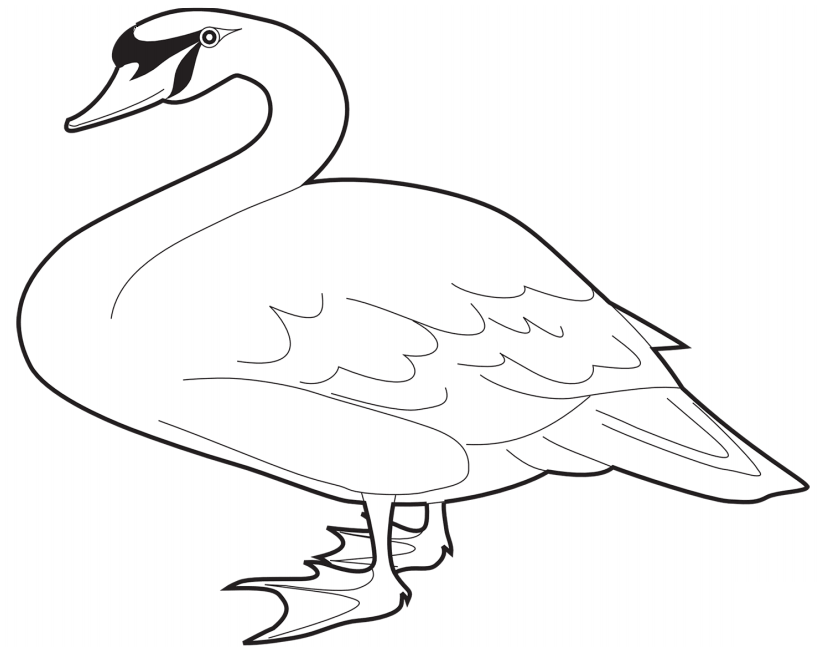 Un Cisne Mudo para colorir