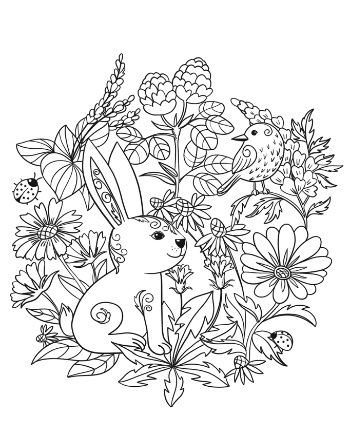 Un Conejo para colorir