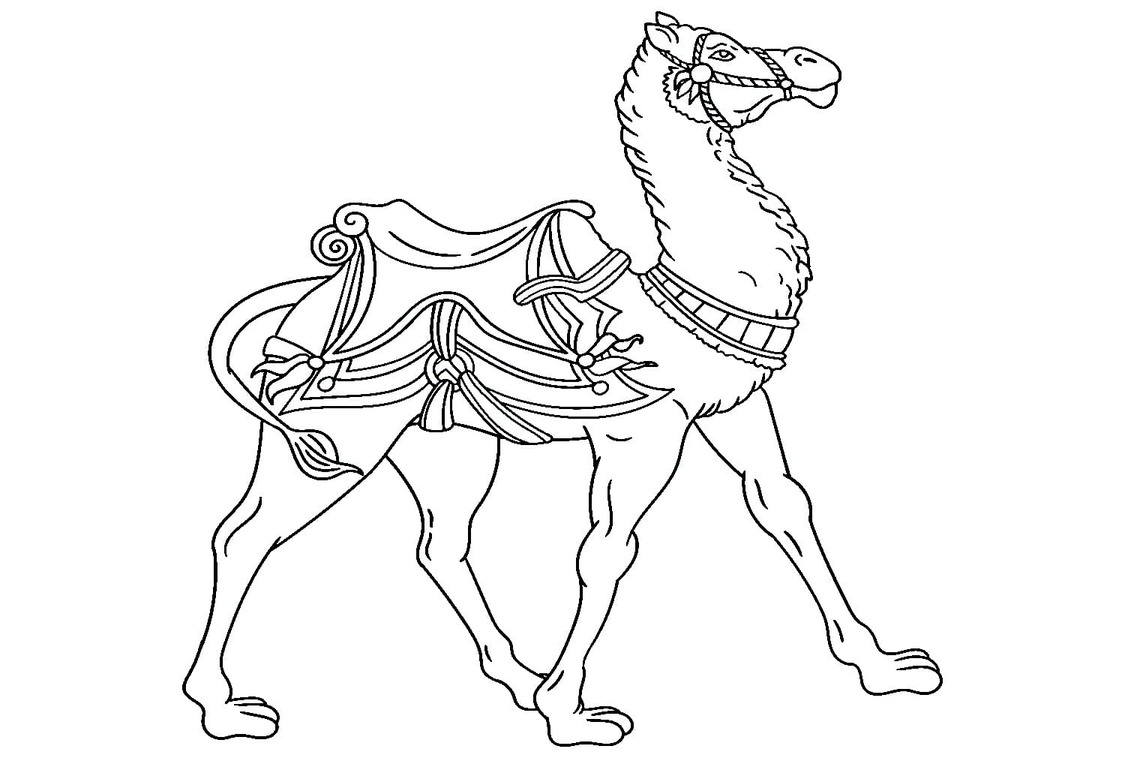 Dibujos de Un hermoso camellos para colorear