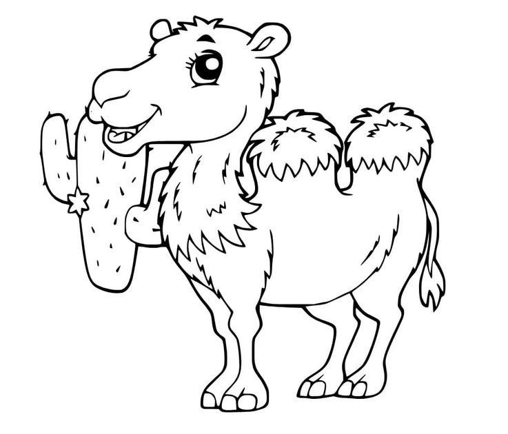 Dibujos de Un lindo camellos para colorear