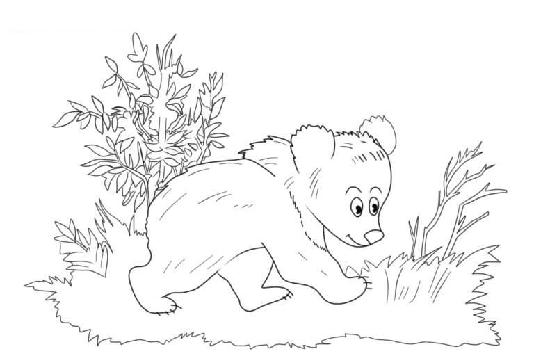 Un lindo oso está caminando en el bosque para colorir