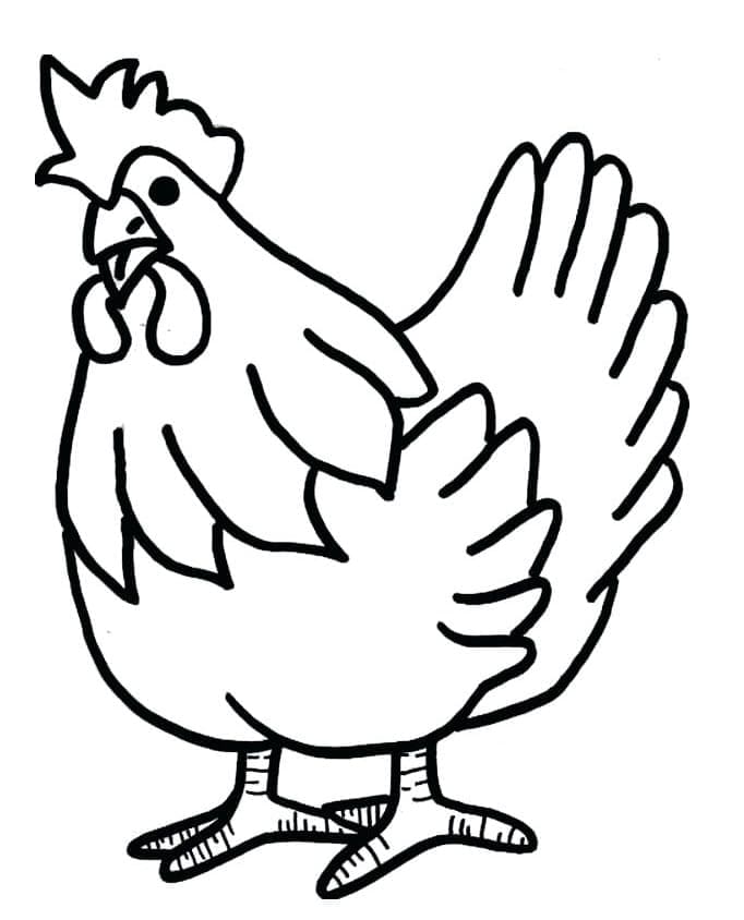 Un pollo para colorir