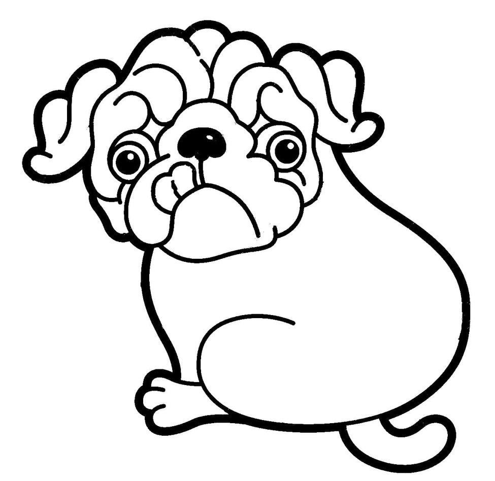 Dibujos de Un Pug divertido para colorear