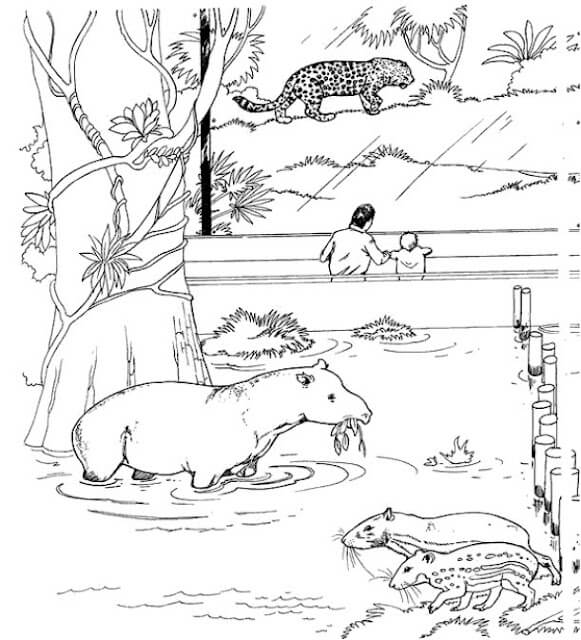 Dibujos de Zoológico Imprimible para colorear