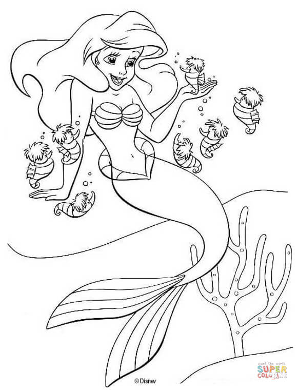 1528250567_ariel-and-seahorses-coloring-page para colorir