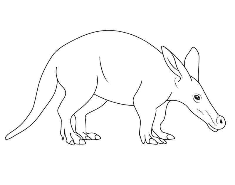 Aardvark Normal para colorir